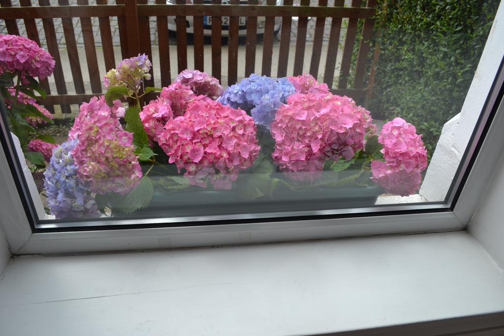 Pitt Street Apartment Beautiful Spacious Apartment Free Parking And Free Sanitizer Edimburgo Esterno foto